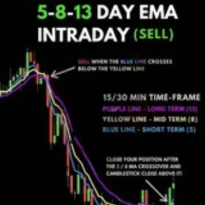 FOREX SUPER BRAINS