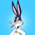 CRYPTO BUNNY