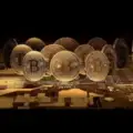 Crypto Free Signals