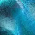 Daily Airdrop Alert