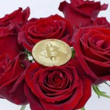 Rose Crypto Signals | Official Channel