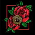 Rose Premiums Signal