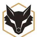 Foxes  Signals Copytrading Free