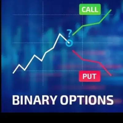 Binary expert