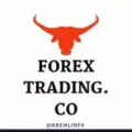 FOREX SIGNALS