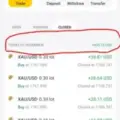 Forex scalpers
