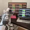 Swing  Trading  Market