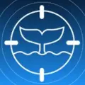 Tokens Signal Alert