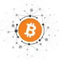 Crypto PRO Signalizer