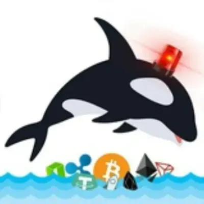 Whale Alerts