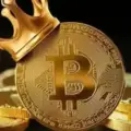 Crypto Musk️