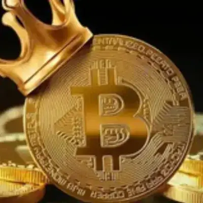 Crypto Musk️