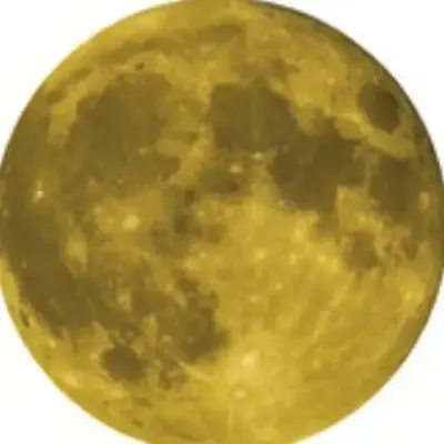 Destination Moon Crypto Bot Signals