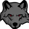 The Wolf Signals ®