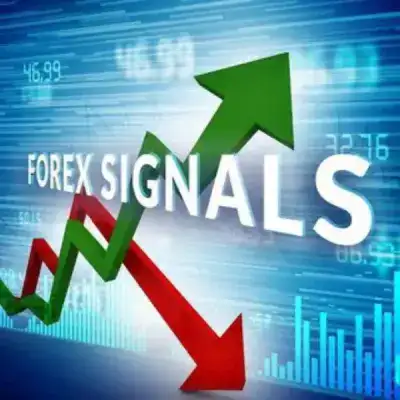 Infinity forex signal chat