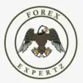 Forex Expert ❣❣