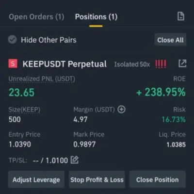 BINANCE FUTURES OFFICIAL ✨