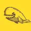 whale_alert