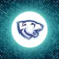 Bears Trading - trading ideas