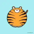 Tiger Signals