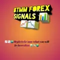 ProForex community