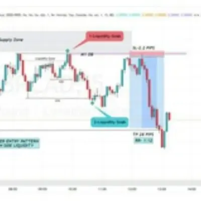 MicroFx Analysis