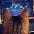 Stock Market Cyclical Analysis