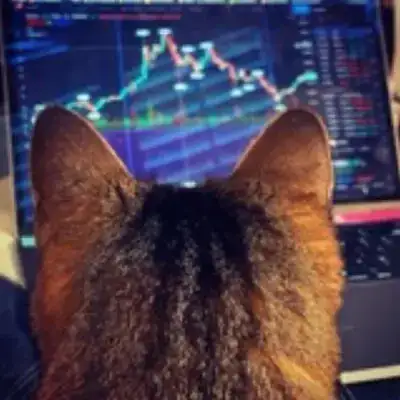 Stock Market Cyclical Analysis