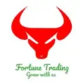 Forex Fortune Trading