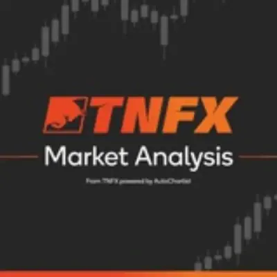 Market Analysis - TNFX