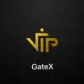 GateX  Vip