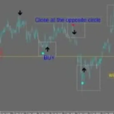 tradingforexforum.com
