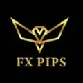 Fx Pips