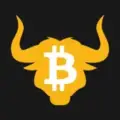 BitBulls