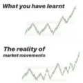 EliteFxCommunity