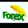 Forex Signals Performance