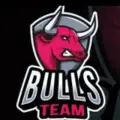 BULLS TEAM ( OFFICIAL)