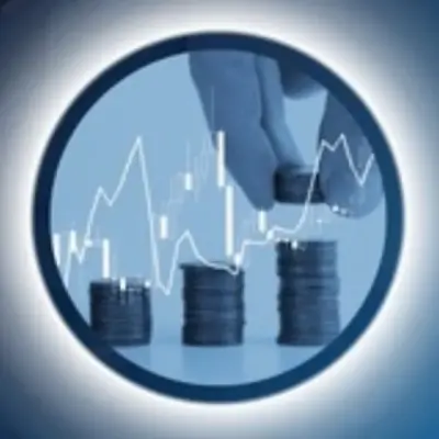 Bitcoin Economics