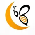 JVRCryptoBeeAnalysis