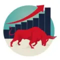 R^2 Bulls
