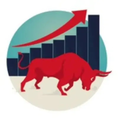 R^2 Bulls