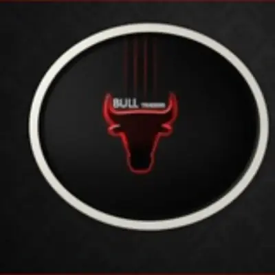 BULL TRDAERS
