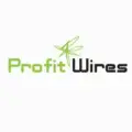 PROFIT WIRES [ equity ]