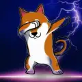 SHIBA INU KILLER Coin- Announcements & Price Analysis