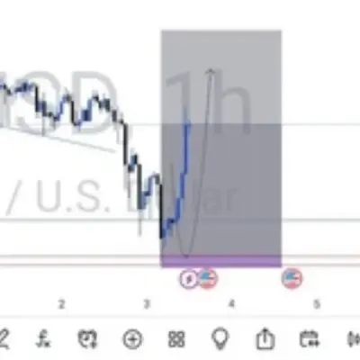 FN FOREX-PARATROOPERS