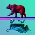 PTSD.crypto  | Analysis