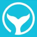 Orcas Update