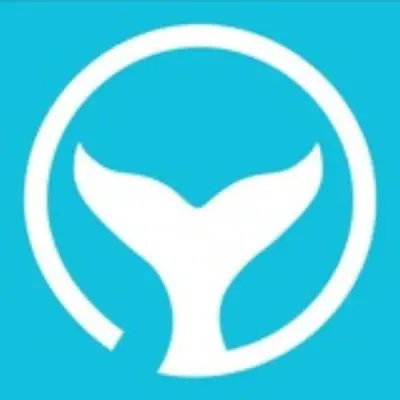 Orcas Update