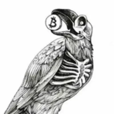 CRYPTO_VULTURE_SIGNALS