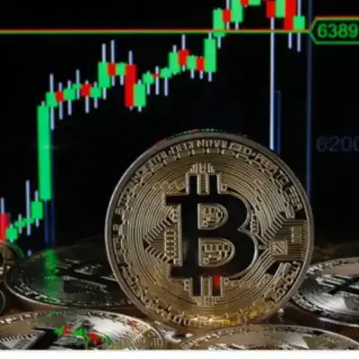 Crypto News